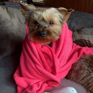 Meet your Posher, Hannah